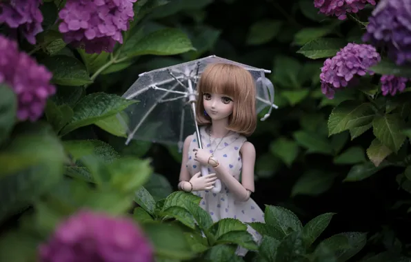 Umbrella, doll, hydrangea
