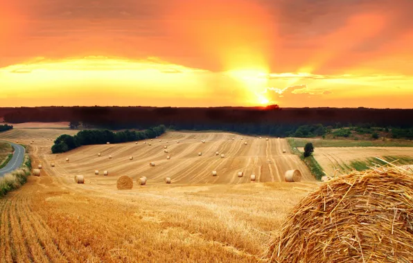 Road, field, the sun, trees, sunset, nature, stack, hay