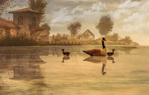 The sky, trees, landscape, birds, nature, lake, house, reflection