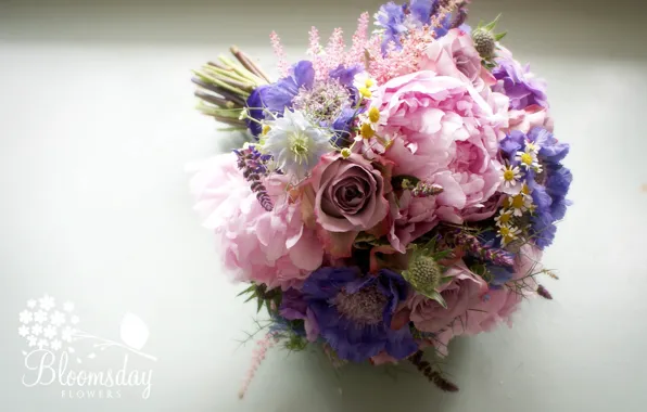 Flowers, roses, bouquet, Daisy, peonies, composition, Nigella, scabious