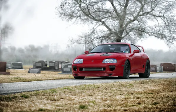 Picture graves, cemetery, red, supra, red, toyota, Toyota, supra