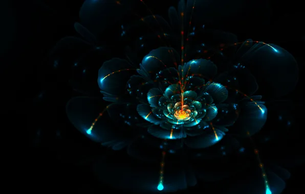 Light, flowers, night, petals, nightfall