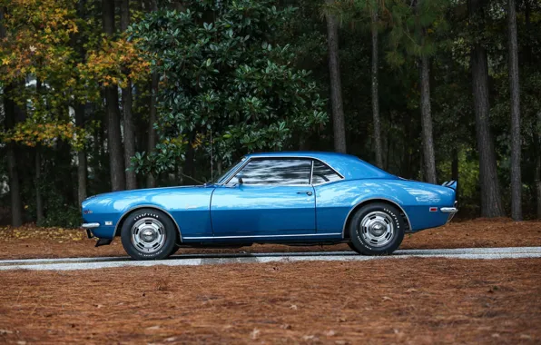 Picture Chevrolet, Camaro, Chevrolet, 1968, Camaro, Z/28