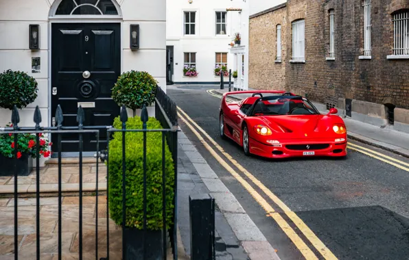 Picture Ferrari, red, supercar, F50, Ferrari F50