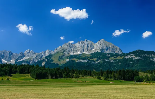 Forest, mountains, Austria, Alps, meadow, Austria, Alps, mountain Wilder Kaiser