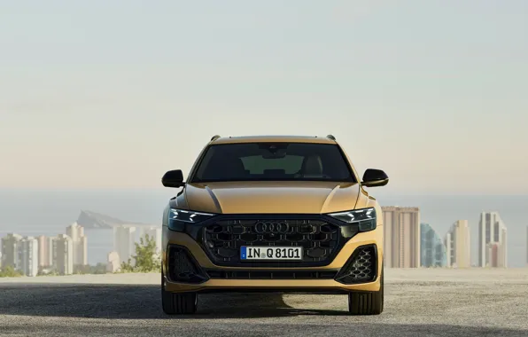Audi, front view, Q8, Audi Q8 2024