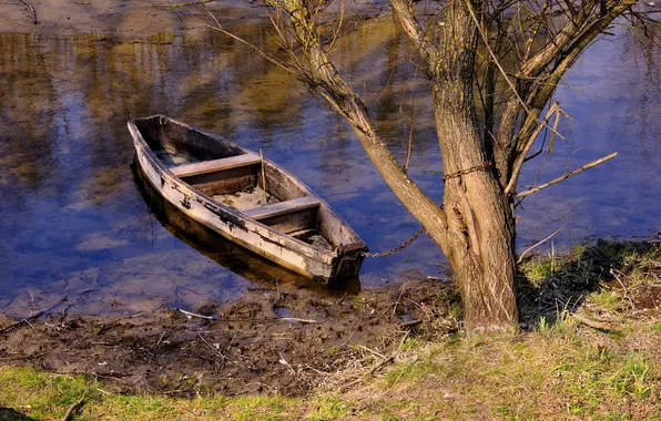 Picture river, tree, boat, chain