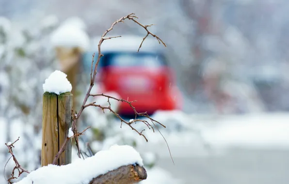 Winter, background, branch