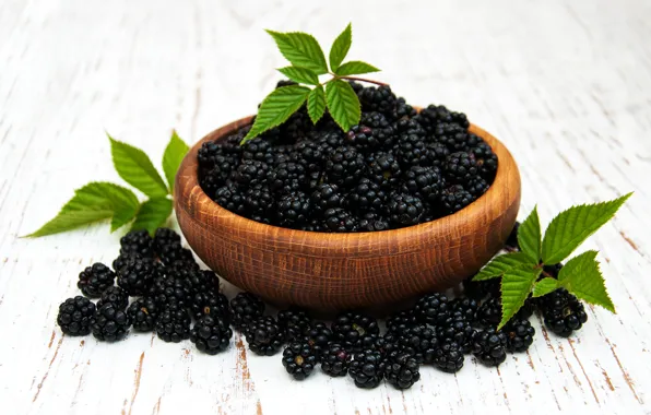 Berries, bowl, BlackBerry, Olena Rudo