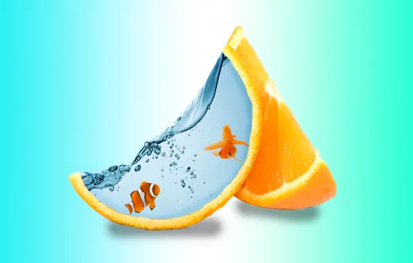 Water, water, orange wedges, creative art, two fish, creative art, two fish, orange slices