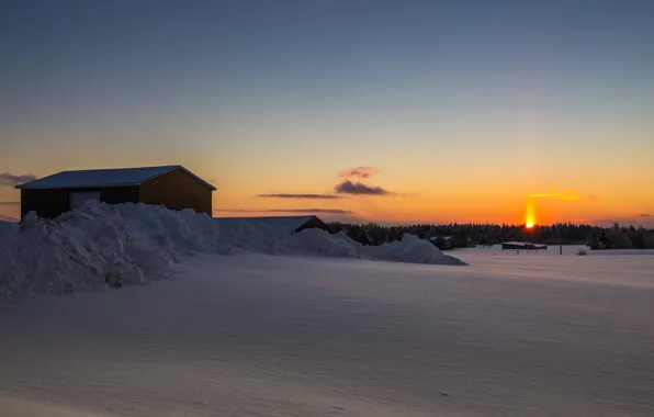 Forest, snow, sunset, home, gradient, forest, sunset, snow