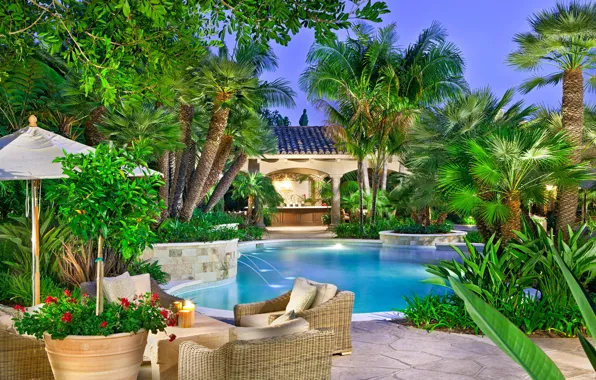 Flowers, palm trees, furniture, interior, bar, pool, chairs, fountains