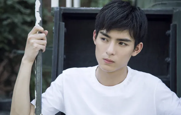 Swing, guy, actor, chinese actor, Wang Hao Xuan, Wang Hao Xuan