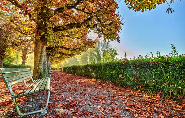 Picture autumn, leaves, the sun, trees, bench, yellow, Park, alley