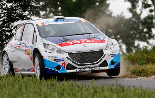 Wallpaper grass, asphalt, trees, rally, peugeot, 208, erc for mobile ...