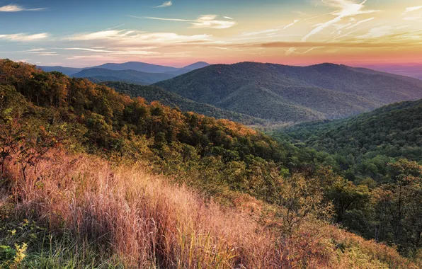 Autumn, forest, the sky, grass, clouds, mountains, fog, hills