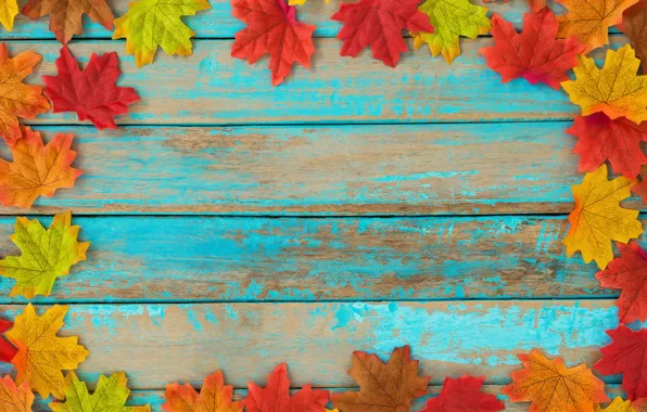 Picture autumn, leaves, background, tree, colorful, vintage, wood, background