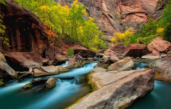 Autumn, trees, stones, rocks, Utah, USA, the river virgin, Zion