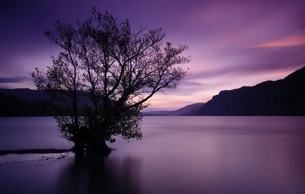 Picture sunset, mountains, tree, water surface