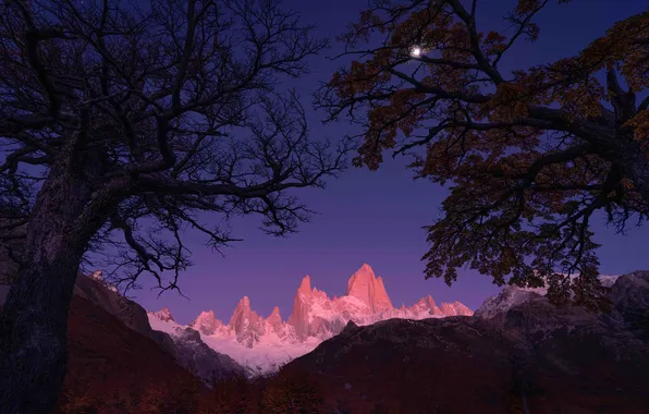 Trees, mountains, night, the moon, Andes