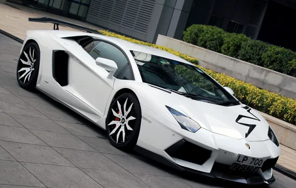 Car, Lamborghini, white, auto, wallpapers, LP700-4, Aventador