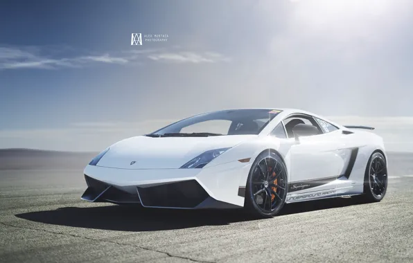 Lamborghini, Superleggera, Gallardo, White, Turbo, LP570-4, Supercar, Twin