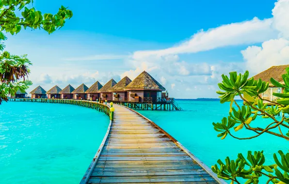 Sea, beach, pierce, house, resort, beach, sea, paradise
