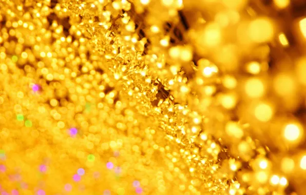 Macro, light, lights, lights, light bulb