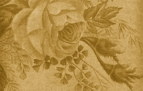 Picture rose, texture, vintage
