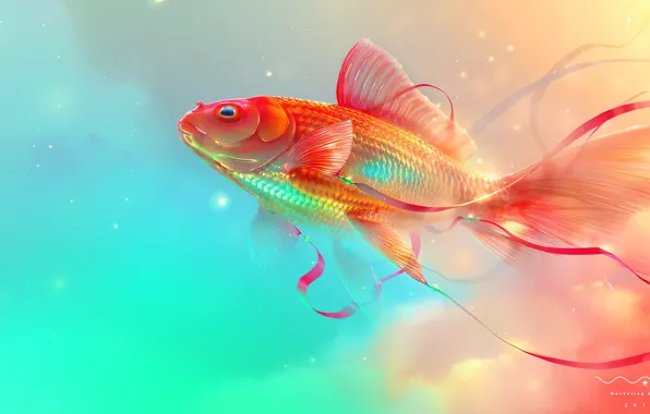 Picture fish, tape, wanderlust