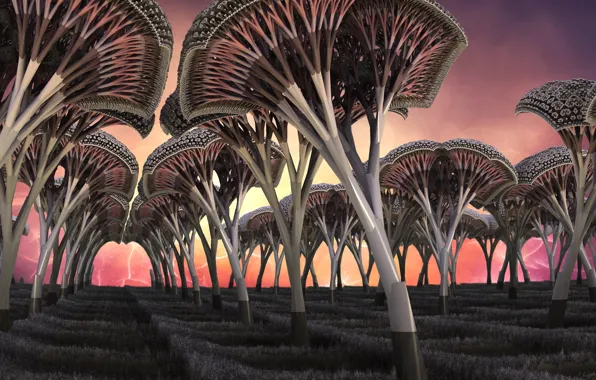 Trees, mushrooms, trail, horizon, 3D graphics