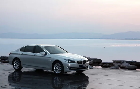 The sky, Water, Lake, BMW, Grey, Car, 5 series, Side view