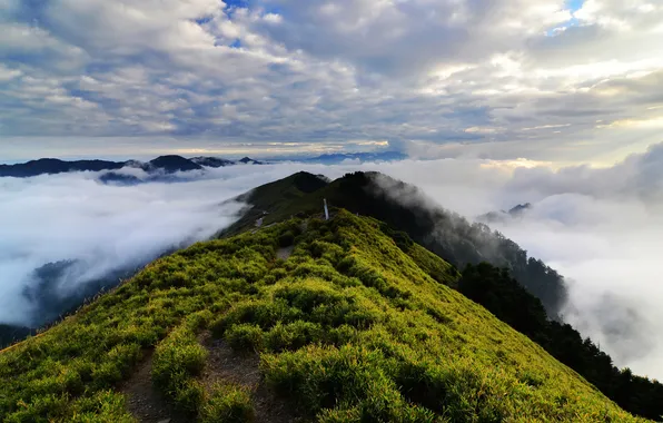 Greens, grass, clouds, mountains, hills, height