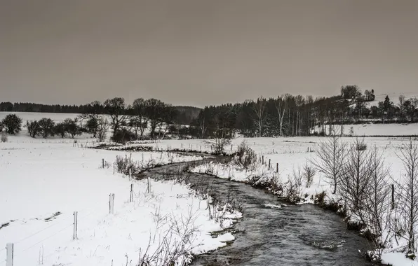 Picture winter, snow, trees, the fence, stream, cold, gray clouds