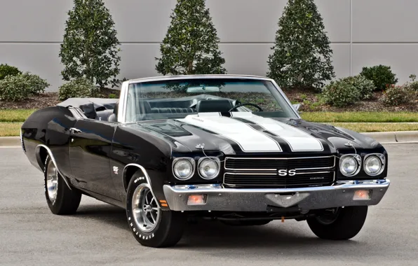 Car, strip, Chevrolet, muscle, 1970, the front, 454, Chevelle