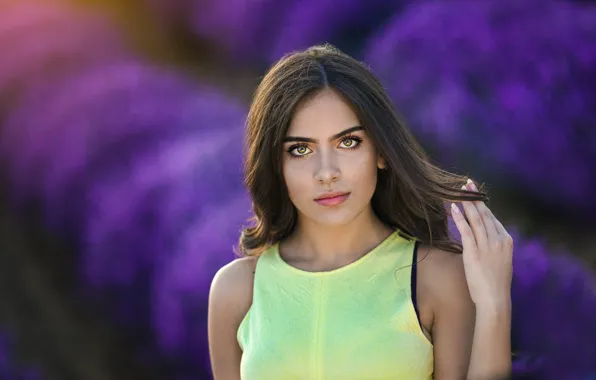 Eyes, look, girl, face, portrait, hands, brunette, lavender