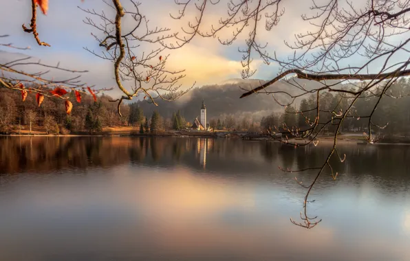 Landscape, branches, bridge, nature, lake, Church, island, forest