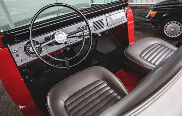 Red, Roadster, Ford, the wheel, 1966, Bronco