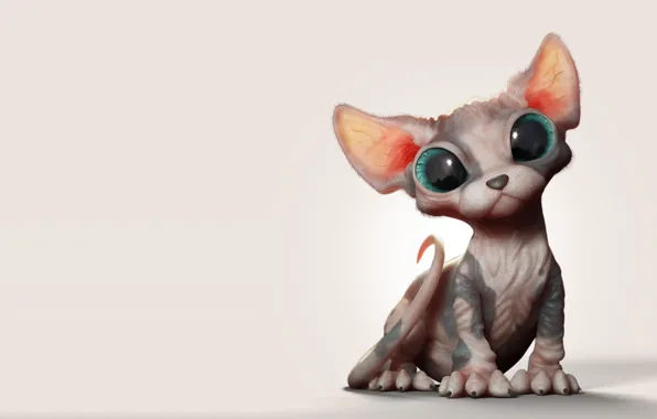 Picture baby, art, kitty, Sphinx, Marcos Nicacio, Sphynx Kitten