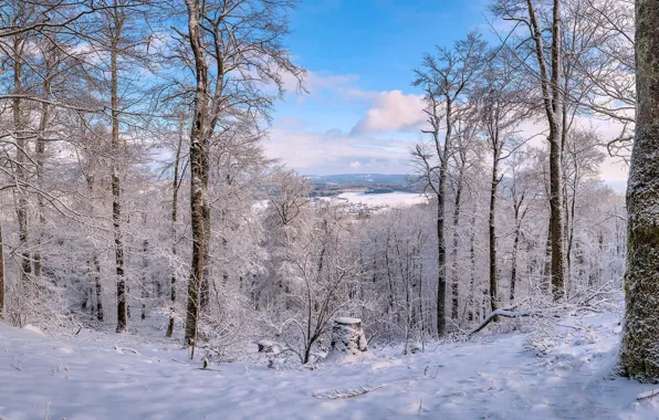 Winter, frost, forest, the sky, clouds, snow, trees, nature