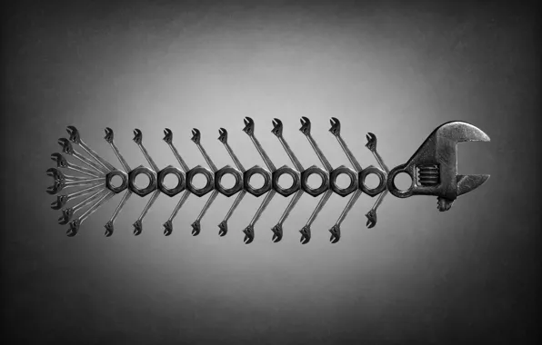 Fantasy, art, keys, nuts, Conceptual, fish skeleton