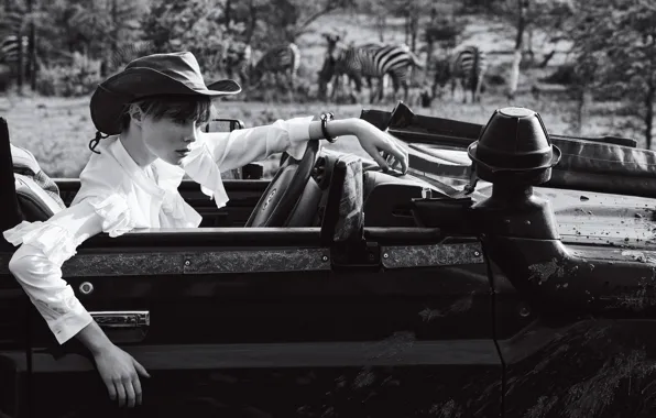 Photo, model, hat, black and white, car, sitting, driving, Zebra