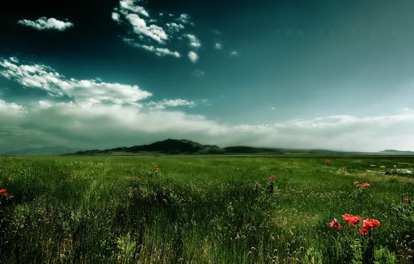 Grass, clouds, mountain, Field
