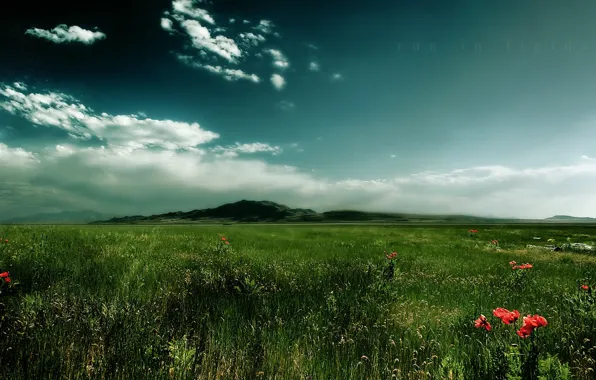 Picture grass, clouds, mountain, Field