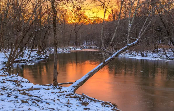 Winter, forest, sunset, river