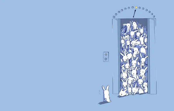 Picture figure, surprise, lift, rabbits, rabbits, a lot