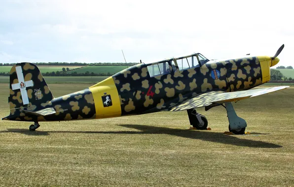 Field, the plane, training, Fiat G.46
