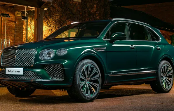 Picture design, Bentley, SUV, Bentley, hybrid, Suite, exterior, 2021