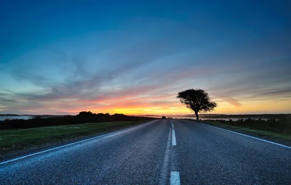 Road, the sky, trees, the way, the way, tree, road, the evening