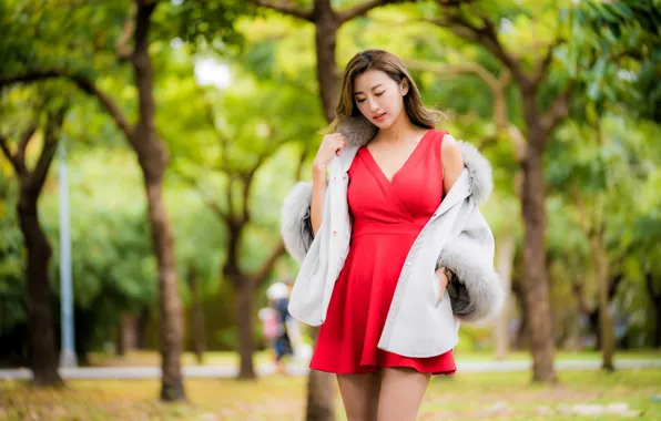 Girl, dress, Asian, bokeh